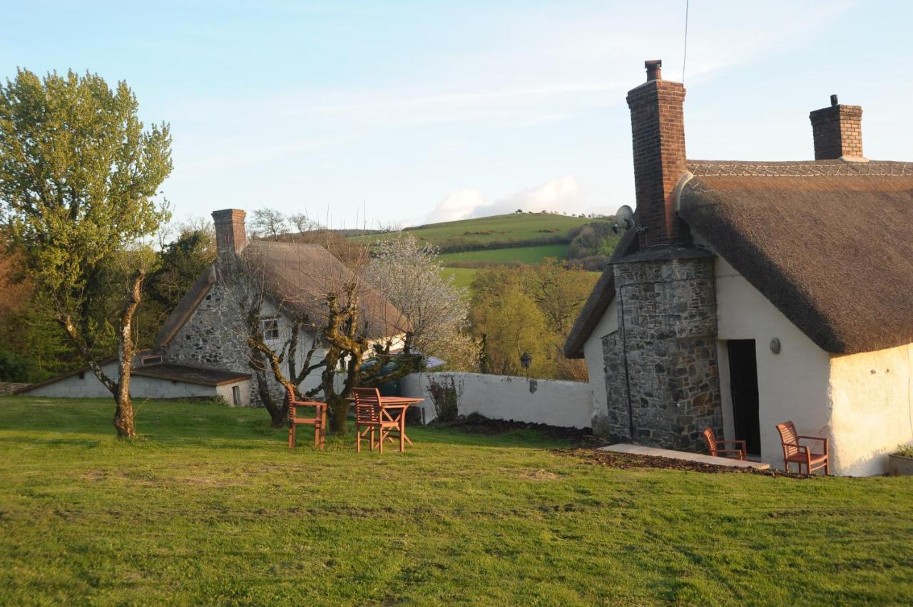 Burrow Farm