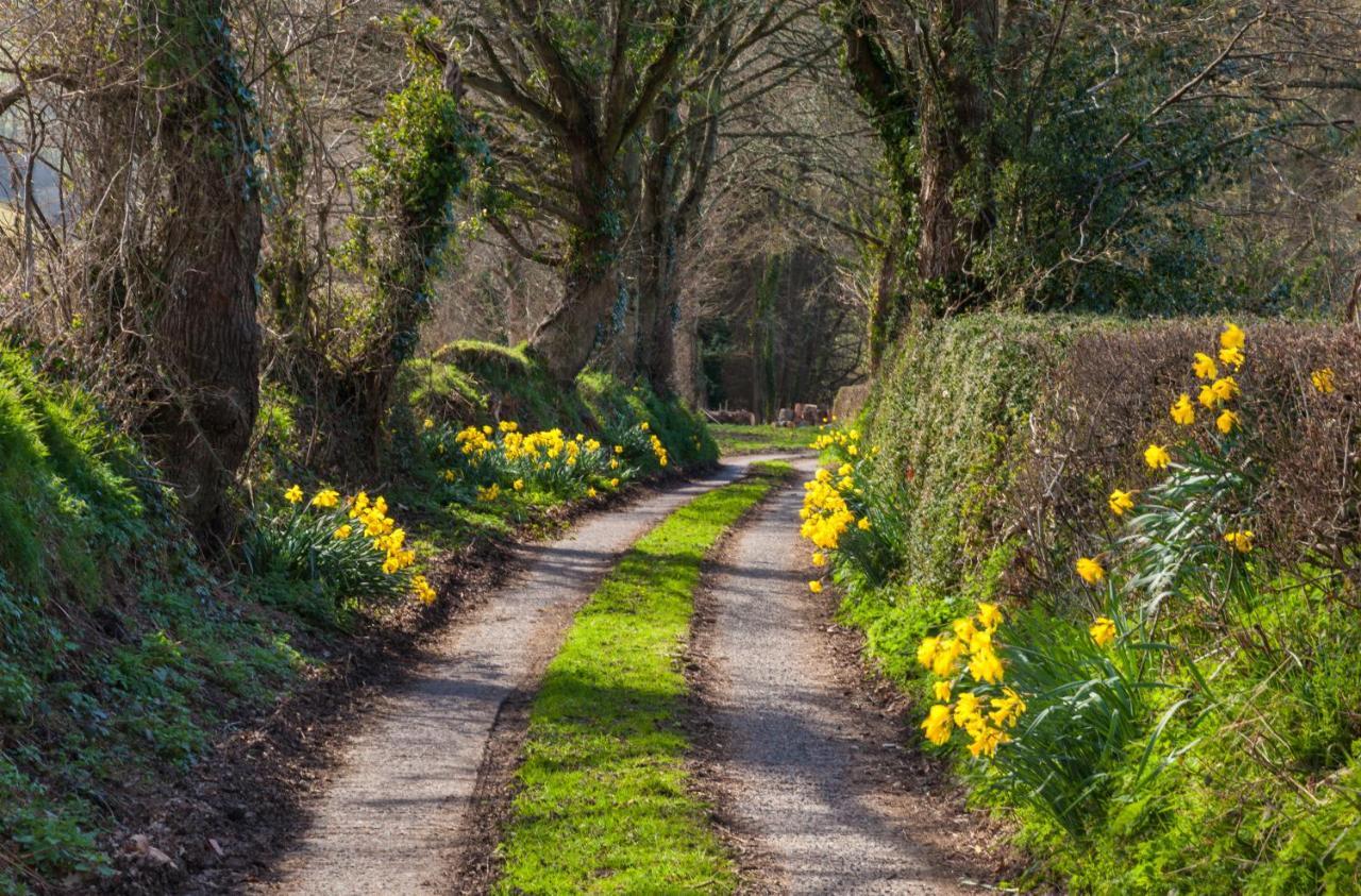 Burrow Farm Bed & Breakfast